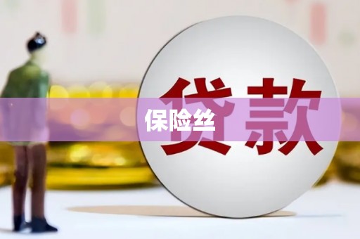 秦安保险丝