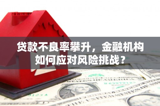 秦安贷款不良率攀升，金融机构如何应对风险挑战？
