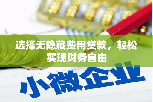 秦安选择无隐藏费用贷款，轻松实现财务自由