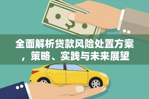 秦安全面解析贷款风险处置方案，策略、实践与未来展望