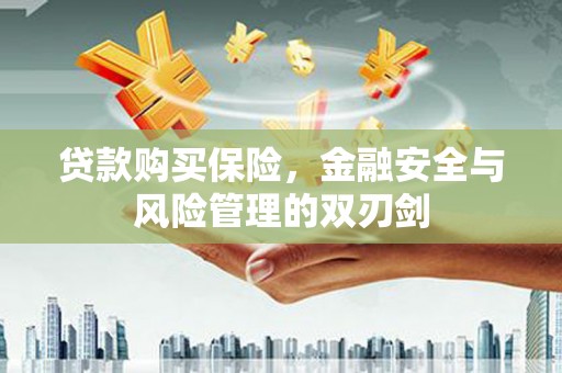 秦安贷款购买保险，金融安全与风险管理的双刃剑