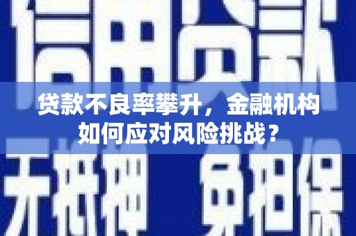 秦安贷款不良率攀升，金融机构如何应对风险挑战？