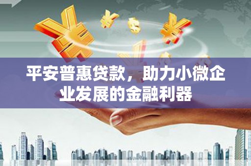 秦安平安普惠贷款，助力小微企业发展的金融利器