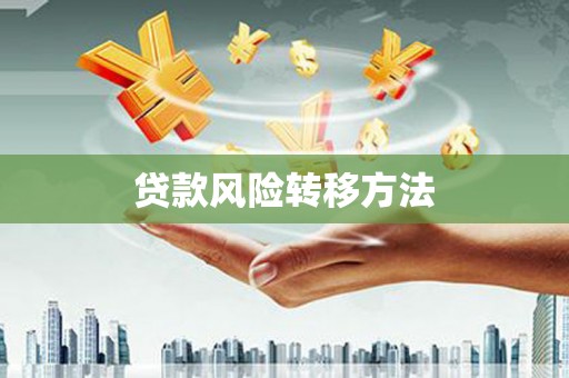 秦安贷款风险转移方法