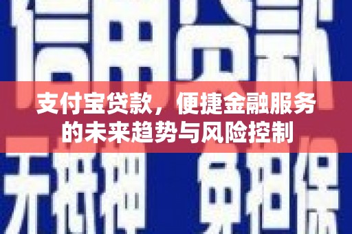 秦安支付宝贷款，便捷金融服务的未来趋势与风险控制