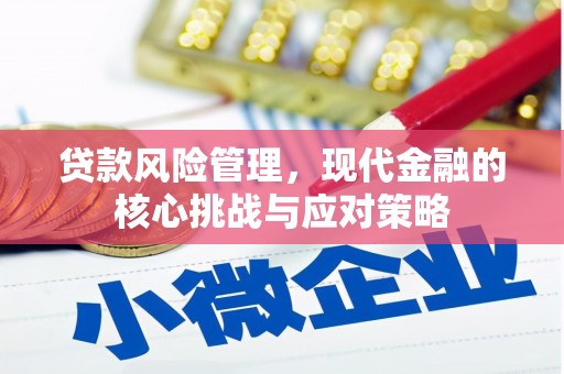 秦安贷款风险管理，现代金融的核心挑战与应对策略