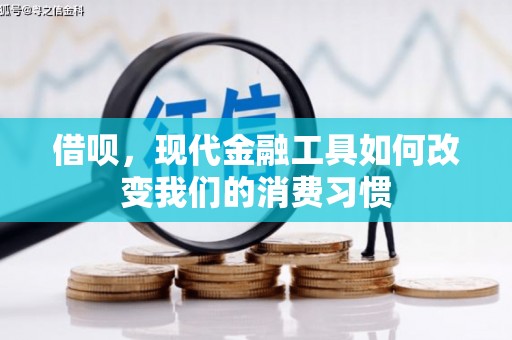 秦安借呗，现代金融工具如何改变我们的消费习惯