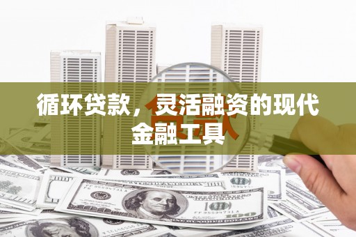 秦安循环贷款，灵活融资的现代金融工具