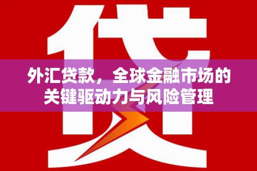 秦安外汇贷款，全球金融市场的关键驱动力与风险管理
