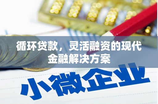 秦安循环贷款，灵活融资的现代金融解决方案