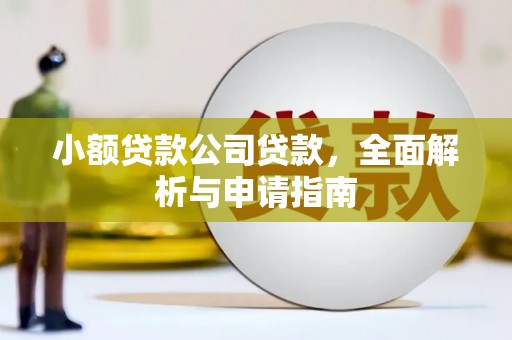 秦安小额贷款公司贷款，全面解析与申请指南