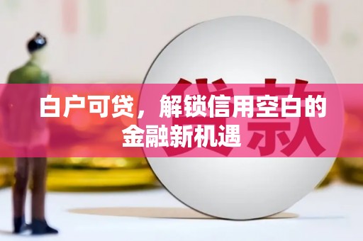 秦安白户可贷，解锁信用空白的金融新机遇