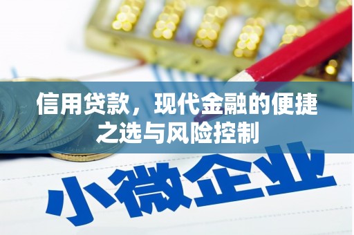 秦安信用贷款，现代金融的便捷之选与风险控制