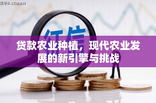 秦安贷款农业种植，现代农业发展的新引擎与挑战
