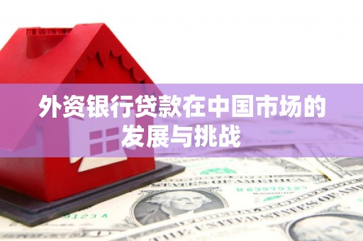 秦安外资银行贷款在中国市场的发展与挑战