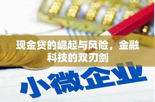 秦安现金贷的崛起与风险，金融科技的双刃剑