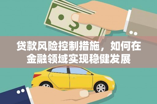 秦安贷款风险控制措施，如何在金融领域实现稳健发展