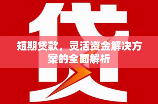 秦安短期贷款，灵活资金解决方案的全面解析