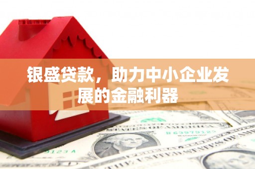 秦安银盛贷款，助力中小企业发展的金融利器