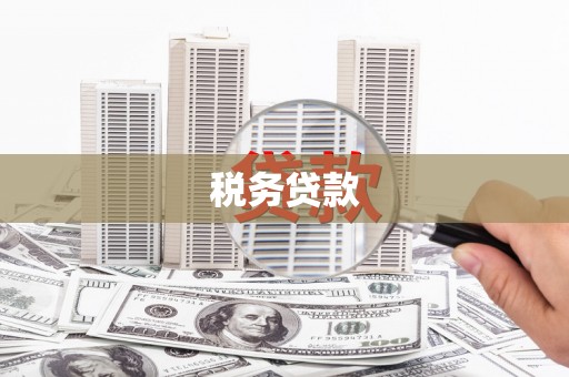 秦安税务贷款