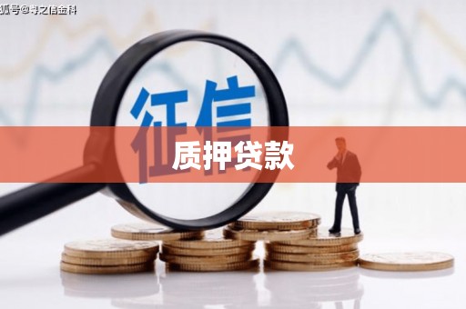 秦安质押贷款