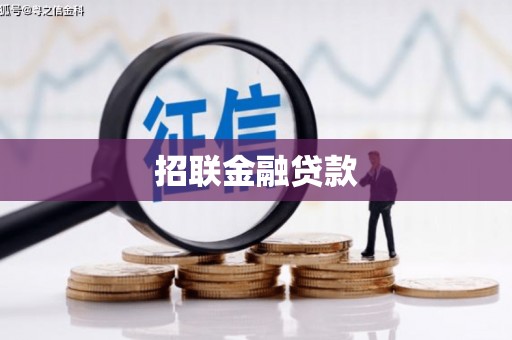 秦安招联金融贷款