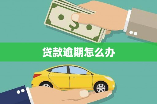 秦安贷款逾期怎么办