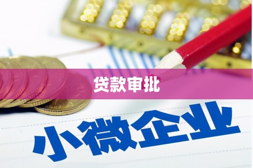 秦安贷款审批