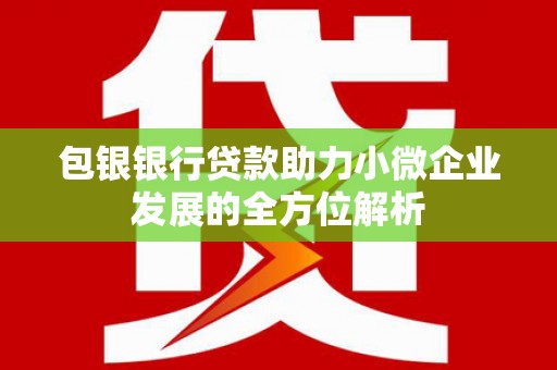 秦安包银银行贷款助力小微企业发展的全方位解析