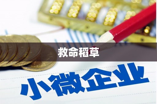 秦安救命稻草
