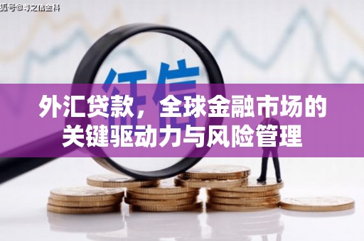 秦安外汇贷款，全球金融市场的关键驱动力与风险管理