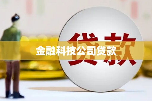 秦安金融科技公司贷款