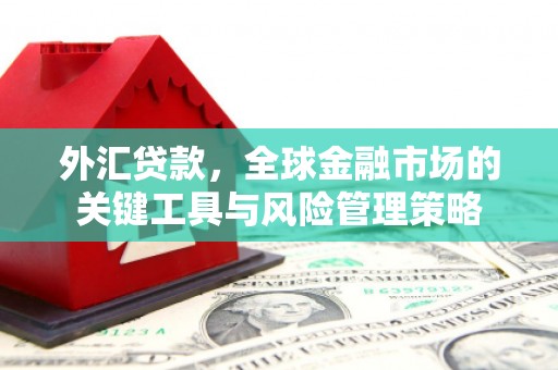 秦安外汇贷款，全球金融市场的关键工具与风险管理策略