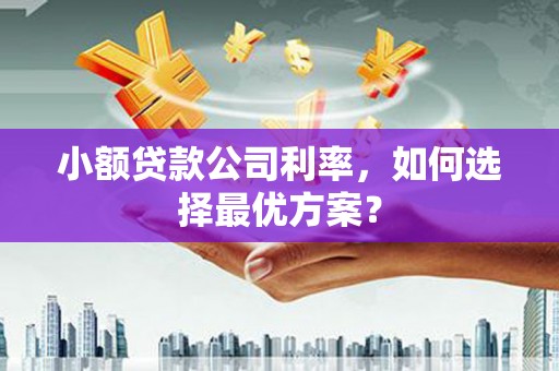 秦安小额贷款公司利率，如何选择最优方案？