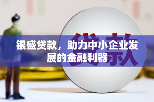 秦安银盛贷款，助力中小企业发展的金融利器