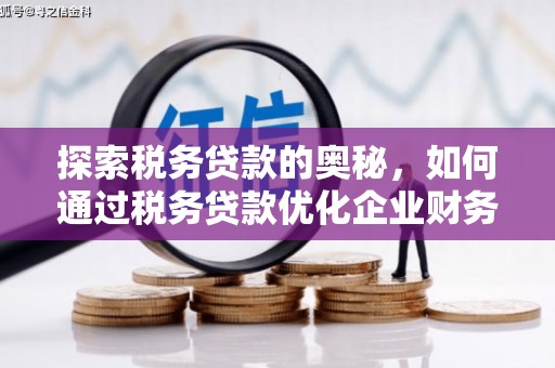 秦安探索税务贷款的奥秘，如何通过税务贷款优化企业财务