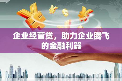 秦安企业经营贷，助力企业腾飞的金融利器