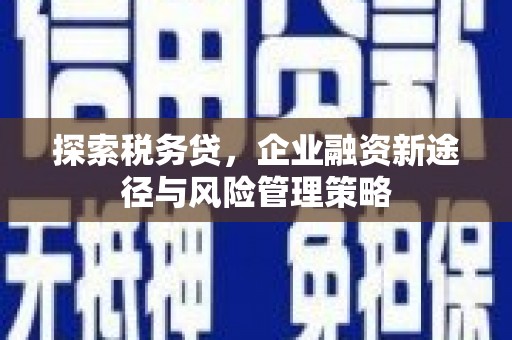 秦安探索税务贷，企业融资新途径与风险管理策略