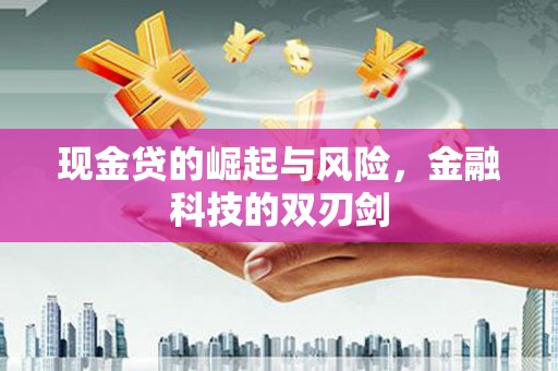 秦安现金贷的崛起与风险，金融科技的双刃剑