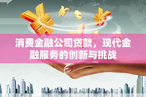 秦安消费金融公司贷款，现代金融服务的创新与挑战