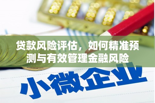 秦安贷款风险评估，如何精准预测与有效管理金融风险