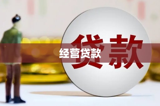 秦安经营贷款