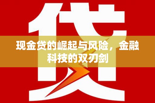 秦安现金贷的崛起与风险，金融科技的双刃剑