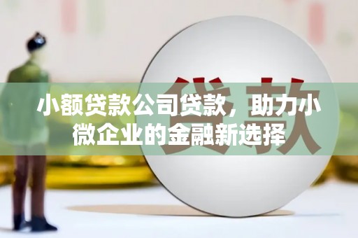 秦安小额贷款公司贷款，助力小微企业的金融新选择