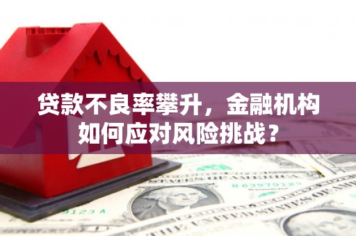秦安贷款不良率攀升，金融机构如何应对风险挑战？