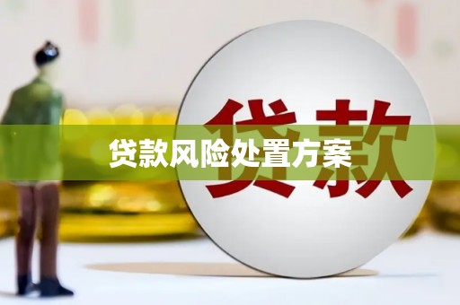 秦安贷款风险处置方案