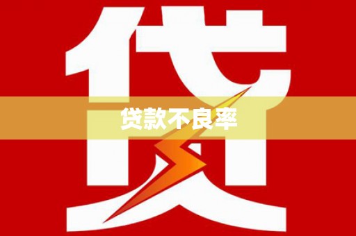 秦安贷款不良率