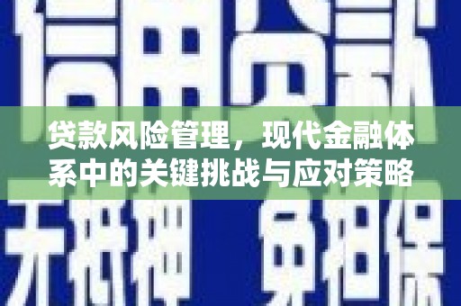 秦安贷款风险管理，现代金融体系中的关键挑战与应对策略