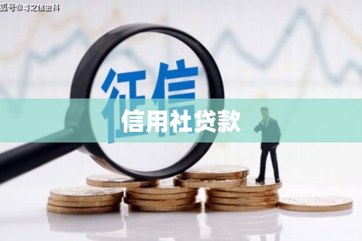 秦安信用社贷款