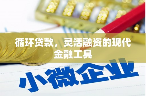 秦安循环贷款，灵活融资的现代金融工具